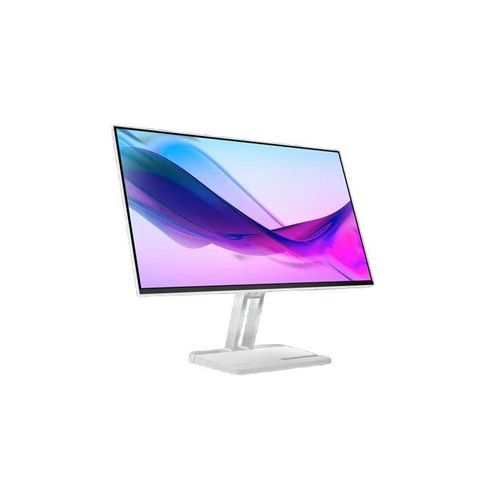 Lenovo L24i-4A 23.8" FHD Monitor