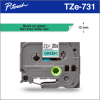 TZe-731