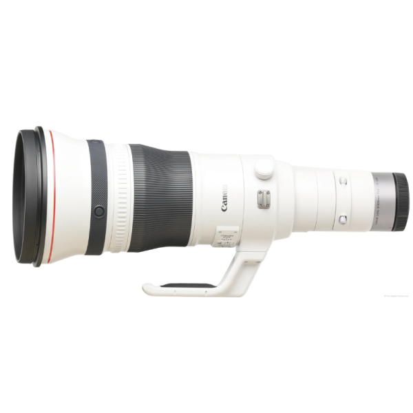 Canon RF 800mm f/5.6 L IS USM Lens