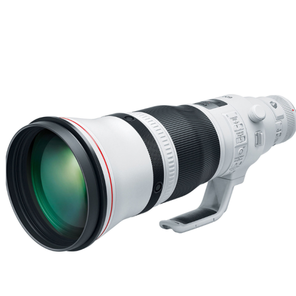 Canon RF 600mm f/4 L IS USM Lens