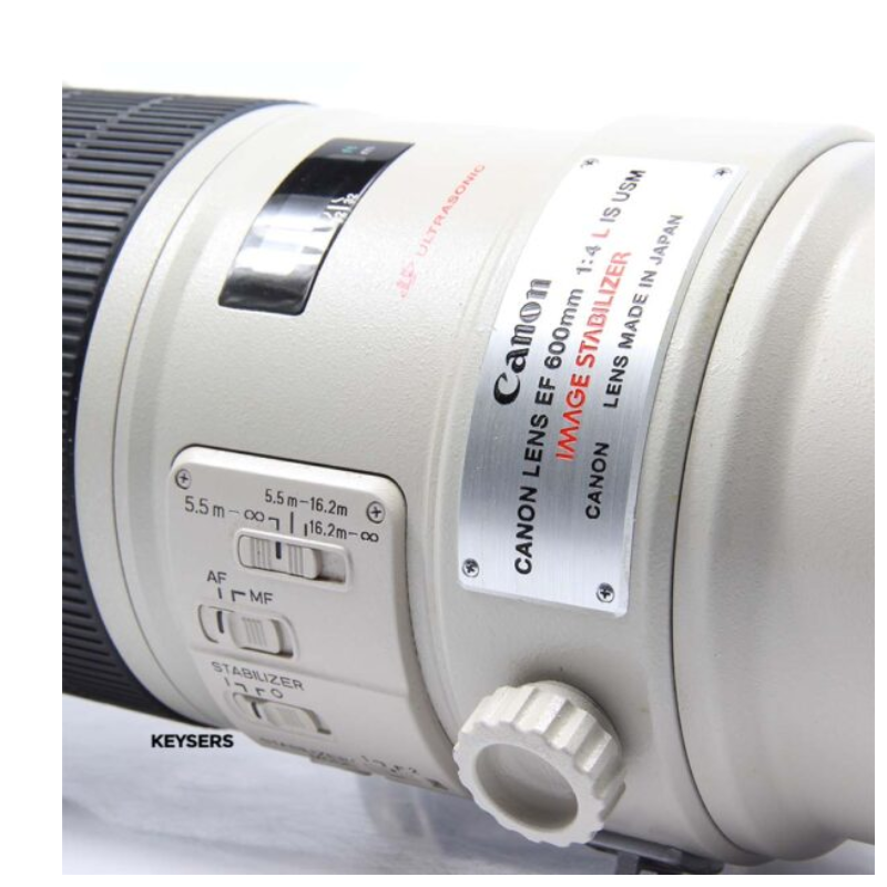 Canon RF 600mm f/4 L IS USM Lens