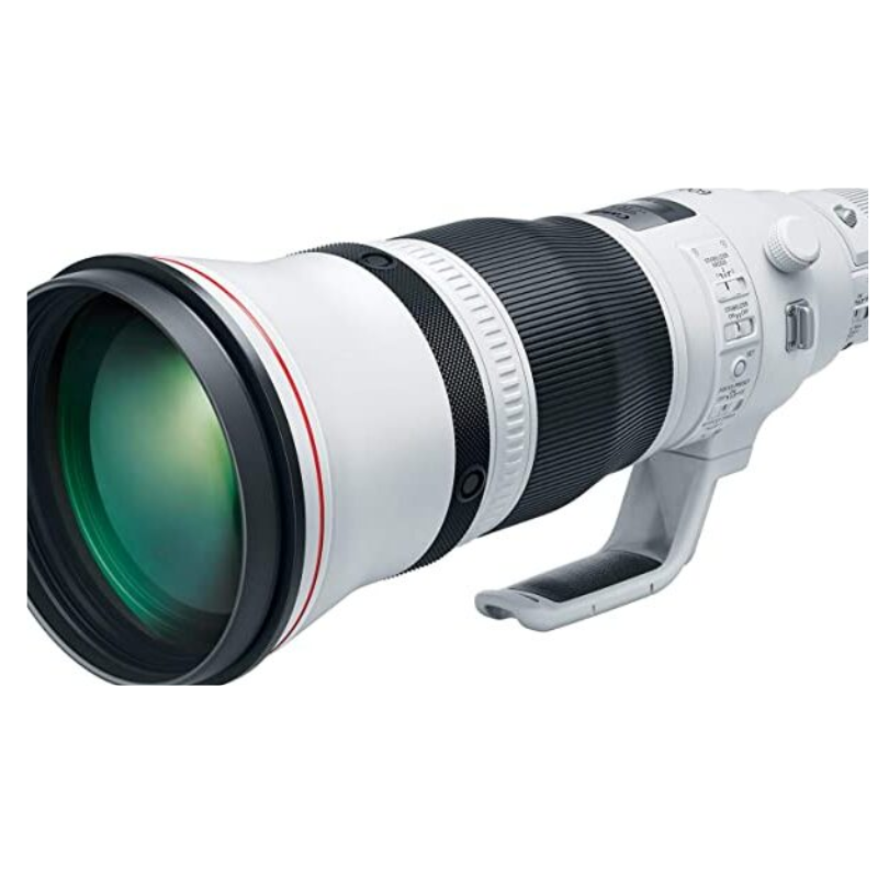 Canon RF 600mm f/4 L IS USM Lens