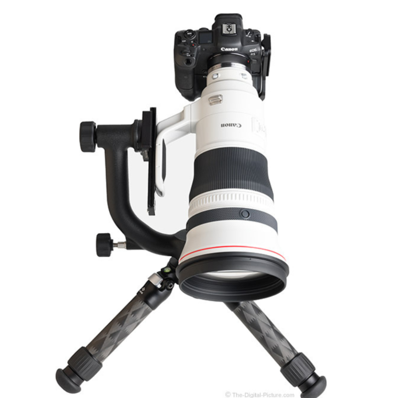 Canon RF 400mm f/2.8 L IS USM