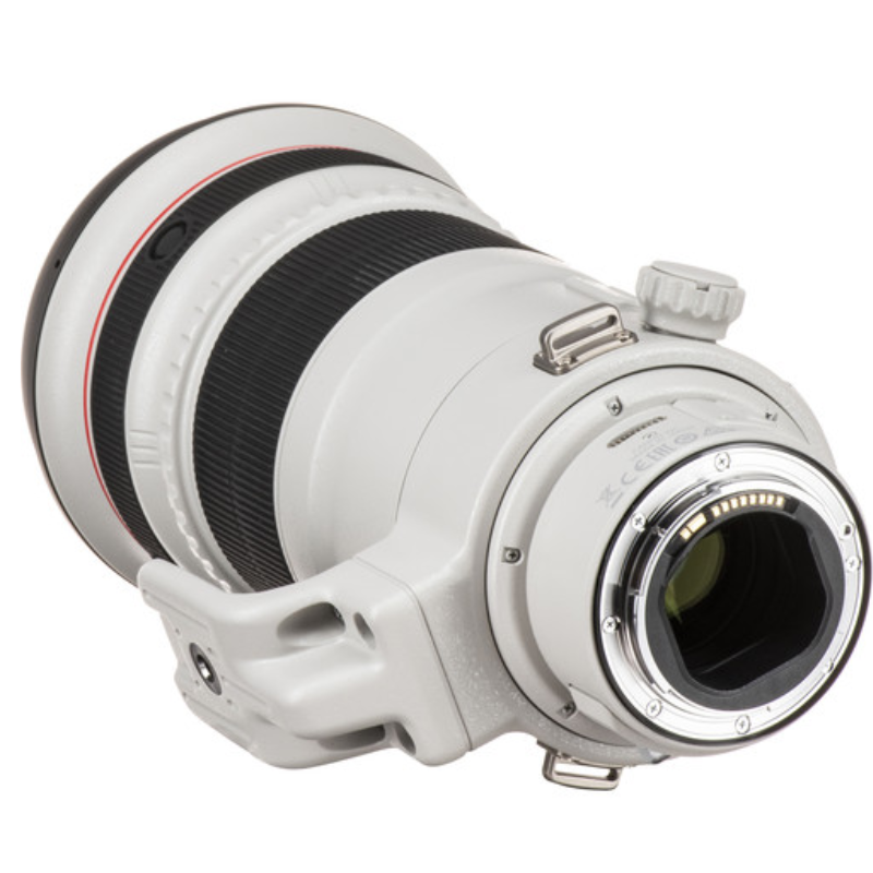 Canon RF 100-300mm f/2.8 L IS USM Lens