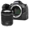 Canon EOS R6 Mark II