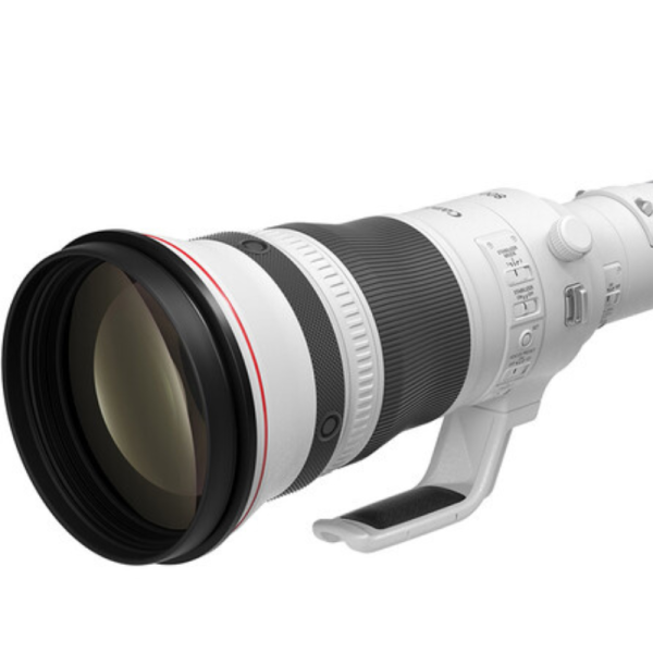Canon RF 800mm f/5.6 L IS USM Lens